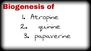 Biogenesis of atropine reserpine  papaverin quinine [upl. by Andros367]