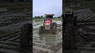 swaraj 855 4x4 855fe farmer modified farming stunt youtube tractorvideos [upl. by January]