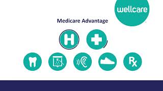 2023 WellCare Medicare advantage Sales Video Español [upl. by Innus]