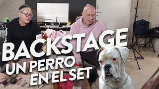 Un PERRO 🐶 en el set de Tacita de Té  Backstage [upl. by Sucramd893]