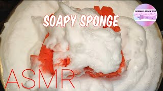 ASMR  Soapy sponge squeezes  Rinse ☁️☁️ [upl. by Frances]