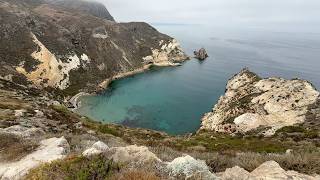 Channel Islands National Park amp Dolphin Watching [upl. by Ahtiuqal]