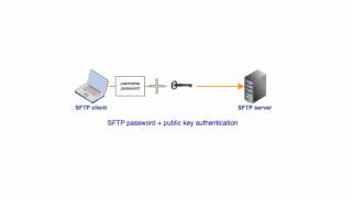 Setting Up Public Key Authentication on an SFTP Server [upl. by Nayhr]