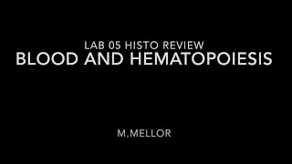 Histology  Hematopoiesis amp Blood Lab 5 Review [upl. by Suki]