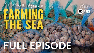 Farming the Sea  Full Episode [upl. by Econah54]