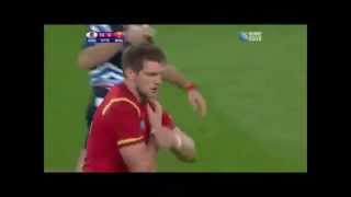 Coupe du Monde de Rugby 2015  Dan Biggar Macarena [upl. by Diandra]