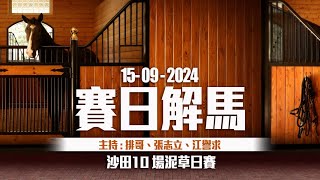 《香港馬評》直播 ｜ 賽日解馬 ｜ 沙田 10 場泥草地日馬賽事｜20240915 ｜ 主持：排哥、張志立、江譽求 [upl. by Orvie111]