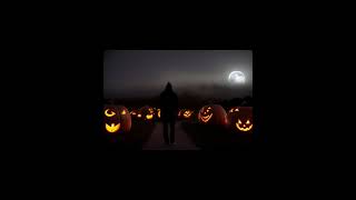 Cool images of pumpkins halloween pumpkins [upl. by Scoter]