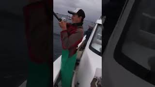 YELLOWTAIL FEVER  STRUISBAAI  HOW TO FISH YELLOWTAIL WITH HANDLINE [upl. by Ehrman352]