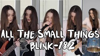 quotAll The Small Thingsquot  blink182 Cassidy Mackenzie Cover [upl. by Pros]