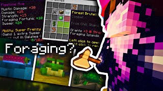 Where is the foraging update Hypixel Skyblock [upl. by Megen271]