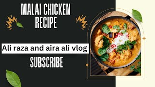 malai chicken recipe 2024 ali raza and aira ali vlog [upl. by Ahsetra63]