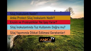 SİLAJ HAZIRLAMANIN PÜF NOKTALARI [upl. by Quintus]