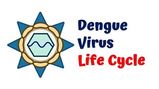 Dengue Virus Life Cycle  4K animation [upl. by Berri]