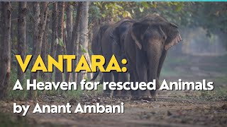 Vantara  A heaven for rescued animal by Anant Ambani [upl. by Eyma]