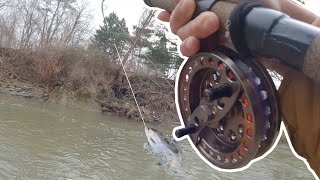 How to catch BIG steelhead in SHALLOW water  Centerpin Fishing [upl. by Gustavus]