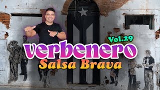 VERBENERO VOL29  SALSA BRAVA [upl. by Allekram]