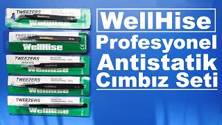 WellHise Profesyonel Antistatik Cımbız Seti İnceleme [upl. by Clarinda]