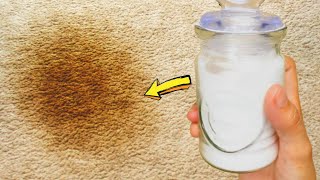 Homemade Carpet Stain Remover  Best DIY Spot Cleaner For Pet Odor And Old Stains [upl. by Ycrep134]