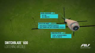 Switchblade 600 Loitering Munition System [upl. by Furgeson]