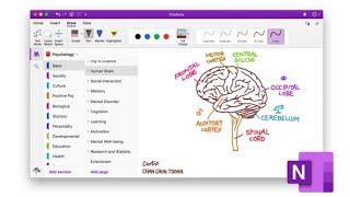 A Beginners Guide to Microsoft OneNote for Windows 10 [upl. by Esyle219]