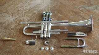 Best Way to Clean a Trumpet [upl. by Gable]