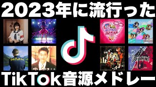 【TikTok】全部歌えたら依存性！？2023年に流行ったTikTok音源メドレー！【最後には・・・】 [upl. by Darius917]