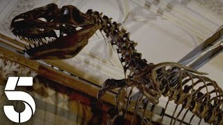 The Earliest Known Dinosaur  Dinosaur With Stephen Fry  NaturalHistoryMuseum  Channel 5 [upl. by Eilatam]