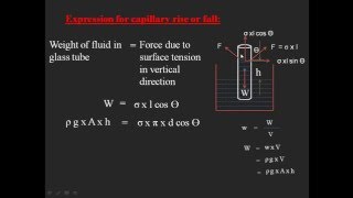 Capillarity [upl. by Joane]