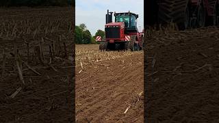 Kockerling Vario 750  Versatile Delta Track 550 po kukurydzy video versatile kockerling viral [upl. by Crescen]