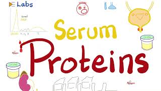 Albumin amp Globulins Alpha Beta amp Gamma  Plasma Proteins and Electrophoresis  Labs [upl. by Charyl]