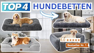 Beste HUNDEBETTEN 2024  Top 4 Hundebetten Vergleich [upl. by Iba]