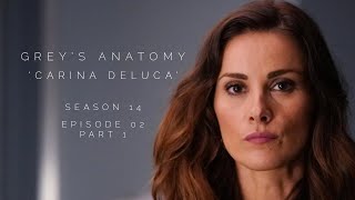 Stefania in Greys Anatomy S14E02 pt1 as Carina DeLuca [upl. by Amisoc85]