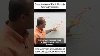 Combination Of Penicillins ➕️ Aminoglycosides shortvideo shorts drnajeeb drnajeeblectures [upl. by Ollecram994]