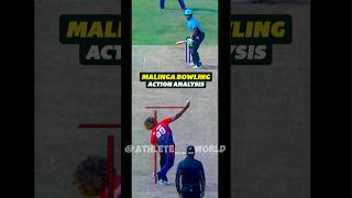 Lasith Malinga Bowling Action Analysis❗️Best yorker bowler❓ [upl. by Anitsrik572]