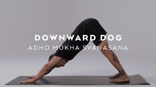 How to do Downward Dog  Adho Mukha Svanasana Tutorial with Dylan Werner [upl. by Atinauj]