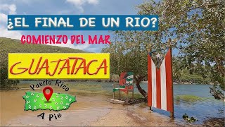 ⭕️El FINAL del Rio GUAJATACA A Pie [upl. by Lennahc]