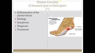 Skeletal Muscle Diseases [upl. by Niarfe]