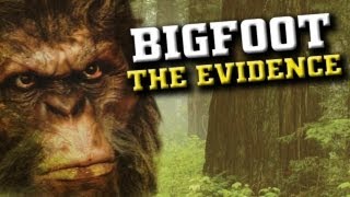 Bigfoot Sasquatch Sightings and Eyewitness Testimony [upl. by Ilohcin482]