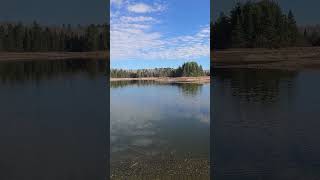 Cornwall Creek Flooding dam repair low water levels [upl. by Aivata]