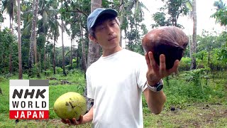 Coconut Entrepreneur Tackling Poverty Mizui Yu  FRONTRUNNERS [upl. by Illib131]