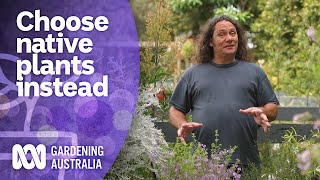 Try planting these native plants instead of weeds  Australian native plants  Gardening Australia [upl. by Einobe]