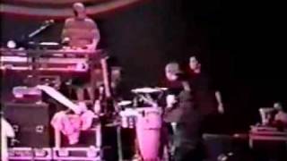 Beastie Boys  The Maestro Live in Los Angeles 1992 [upl. by Ahtnahc]