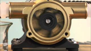 How a Jabsco Flexible Impeller Pump Works [upl. by Nere]