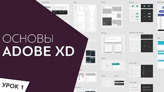 Adobe XD Обзор программы Урок 1 [upl. by Stringer]