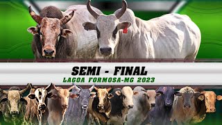 SEMI FINAL em TOUROS  RODEIO de LAGOA FORMOSAMG 2023 [upl. by Nimzzaj938]