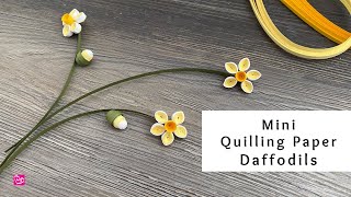 How to Make Mini Quilling Paper Daffodils  Spring Paper Flowers  Quilling for Beginners [upl. by Andriette]