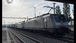 TX Logistik 189 114 amp 189 104 mit KLV Zug in Rotkreuz [upl. by Sellers68]