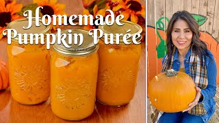 HOW TO MAKE HOMEMADE PUMPKIN PUREE Easy Pumpkin Purée from ScratchSugar Pie amp Carving Variety [upl. by Latsryc]