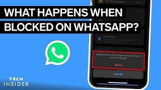 What Happens When You Block Someone On WhatsApp  Tech Insider [upl. by Oniuqa493]